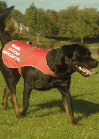 Medical Detection Printed High Vis Hi Viz Dog Pet Safety Vest Reflective Coat 