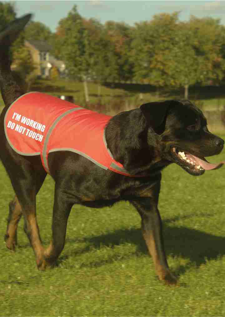 I'm Working Do Not Printed High Vis Hi Viz Dog Pet Safety Vest Reflective Coat 