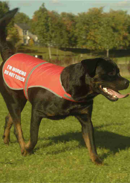 I'm Working Do Not Printed High Vis Hi Viz Dog Pet Safety Vest Reflective Coat 