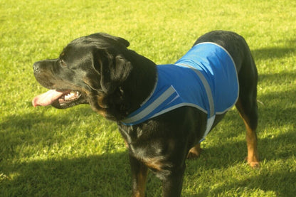 Rescue Dog Training High Vis Dog Coat Printed Vest Pet Safety Reflective Hi Viz