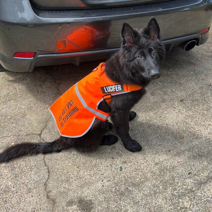 Personalised High Vis Dog Coat Custom Printed Hi Viz Pet Safety Vest Reflective 