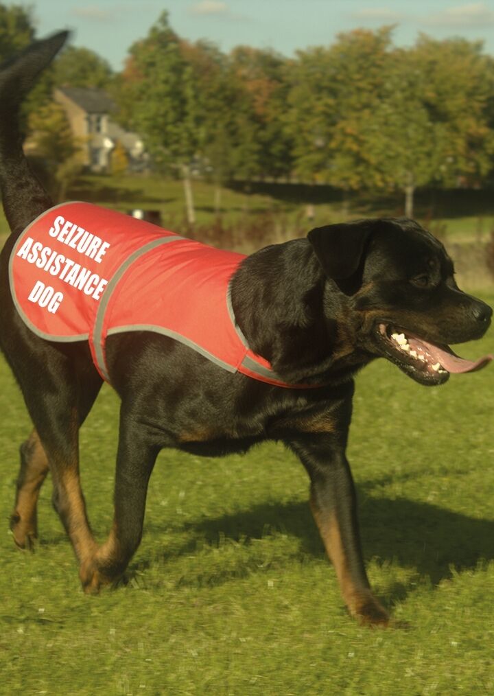Seizure Assistance Dog Coat High Vis Vest Printed Pet Safety Reflective Hi Viz