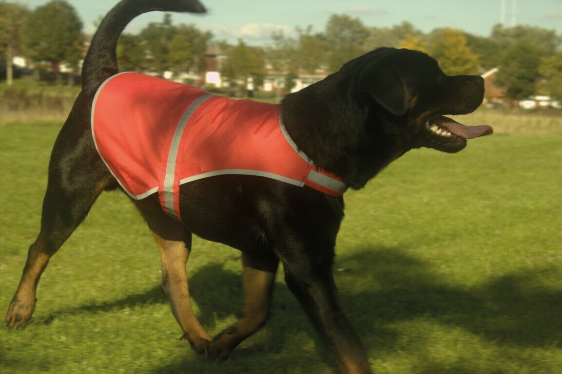 Seizure Assistance Dog Coat High Vis Vest Printed Pet Safety Reflective Hi Viz