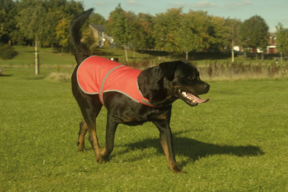I'm Working Do Not Printed High Vis Hi Viz Dog Pet Safety Vest Reflective Coat 