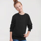 Winter Emerald kids raglan sleeve sweatshirt front view
