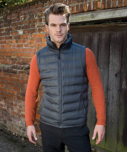 Royal ice bird padded gilet front view